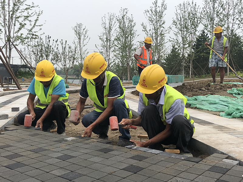 建筑垃圾再生海綿磚走進北京“綠肺”溫榆河公園圖片